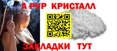 прущие грибы Донецк