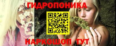 прущие грибы Донецк