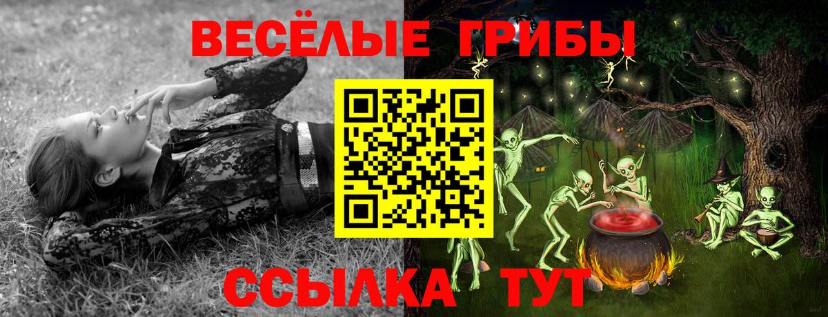 Псилоцибиновые грибы Cubensis  Вход с VPN  Лыткарино 